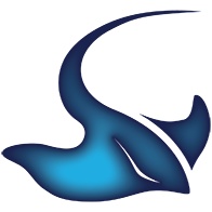 Stingray Branding profile